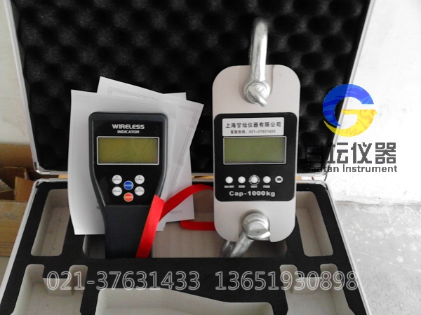 供應 重慶 上海 江蘇 天津_測力計30噸